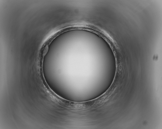 X0000096431456200802211135