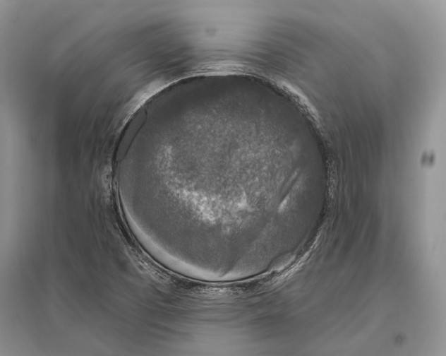 X0000096431457200802211135