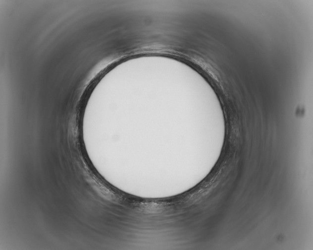 X0000096431458200802211135