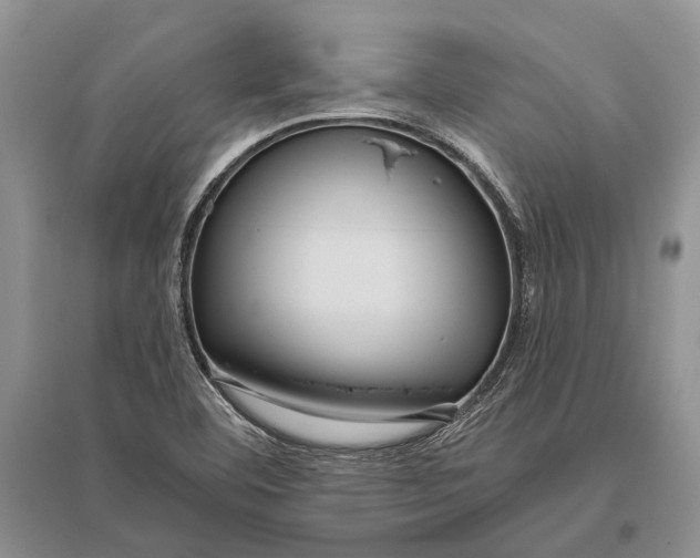X0000096431460200802211135