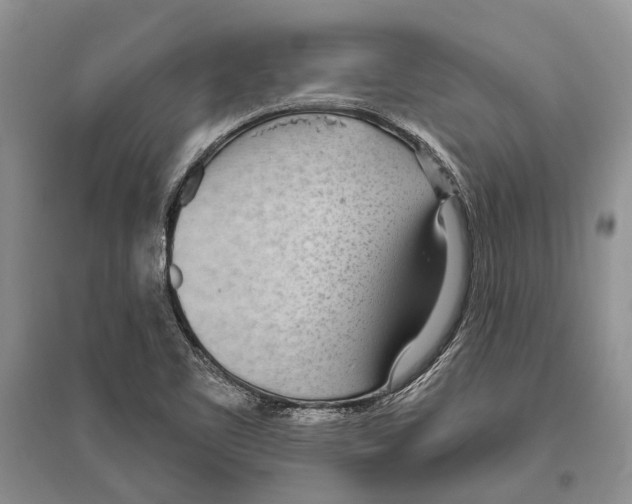 X0000096431461200802211135
