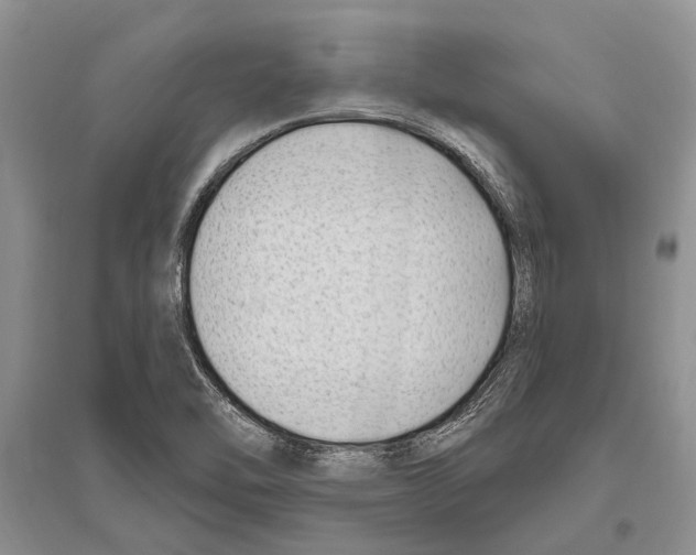 X0000096431462200802211135