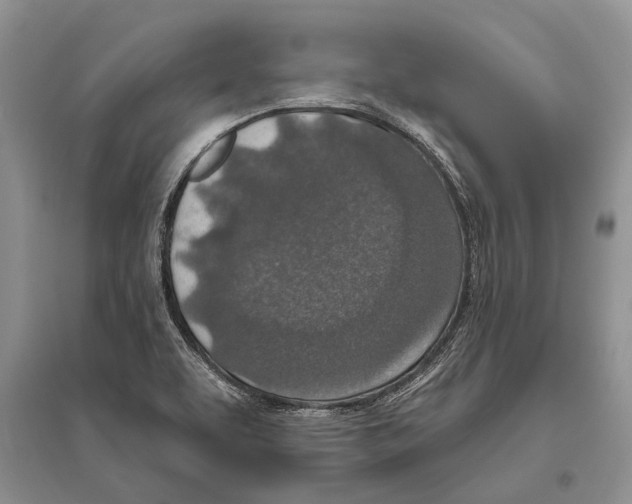 X0000096431463200802211135