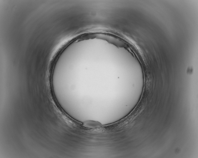 X0000096431464200802211135