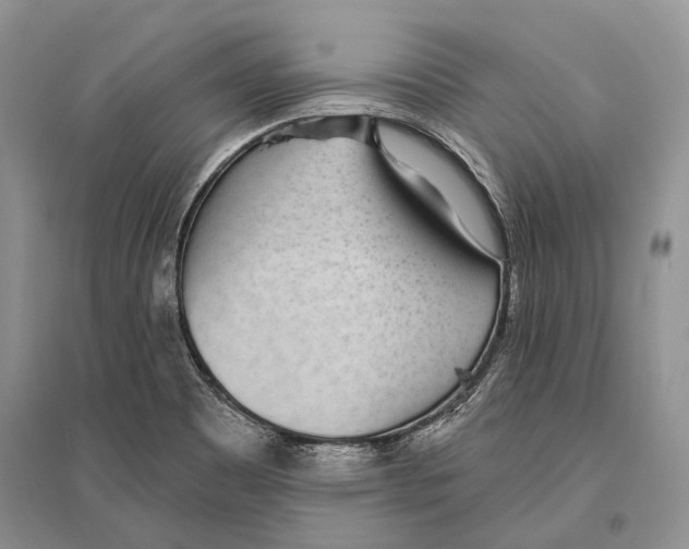 X0000096431465200802211135