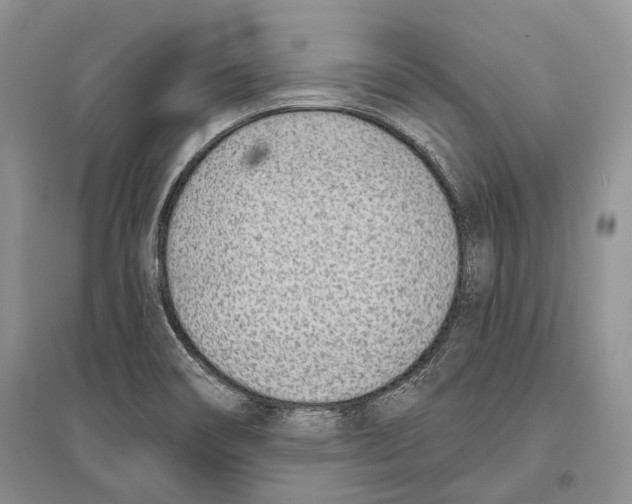 X0000096431466200802211135