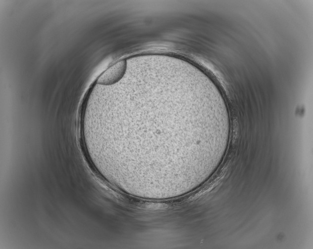 X0000096431467200802211135