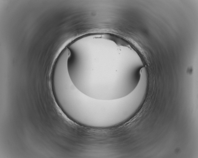 X0000096431468200802211135
