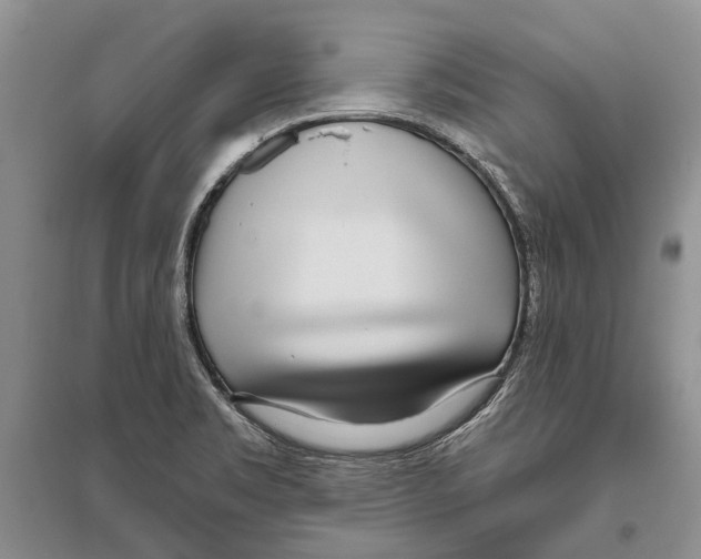 X0000096431469200802211135