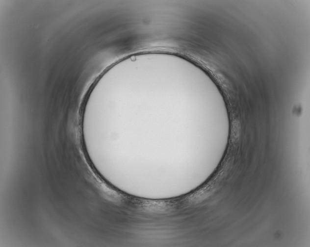 X0000096431470200802211135