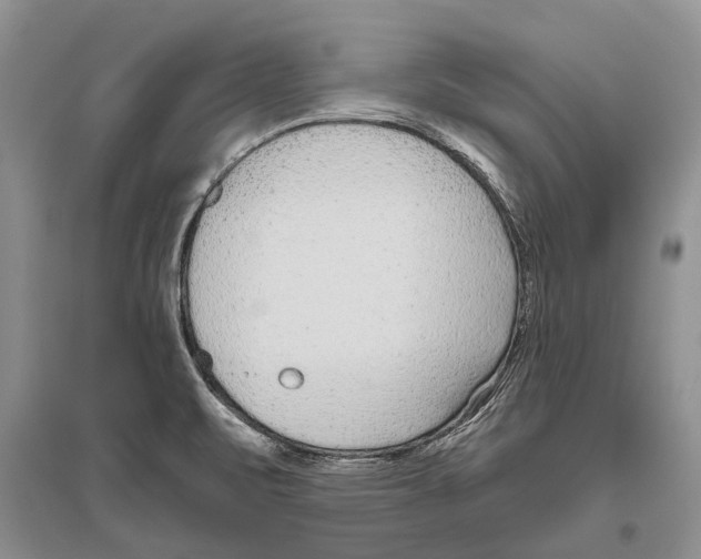 X0000096431471200802211135