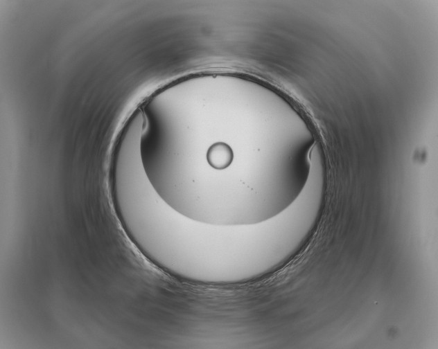 X0000096431472200802211135