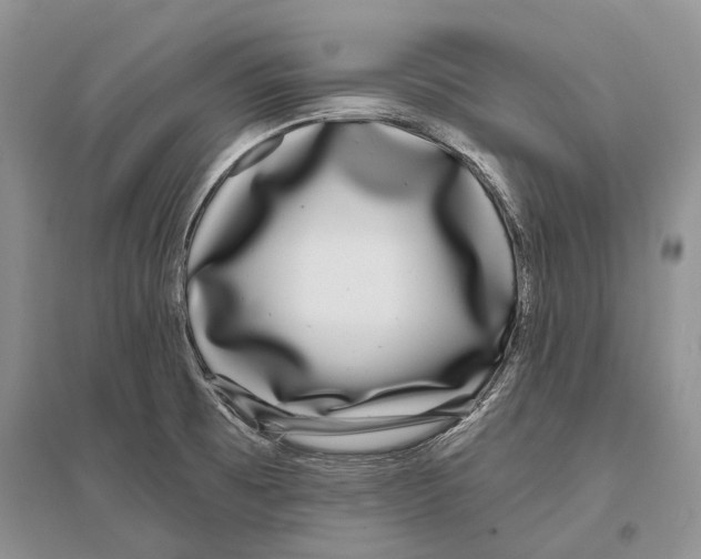 X0000096431473200802211135