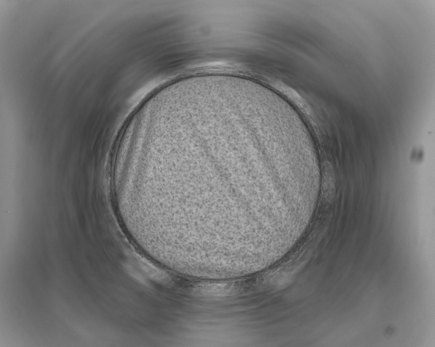 X0000096431474200802211135