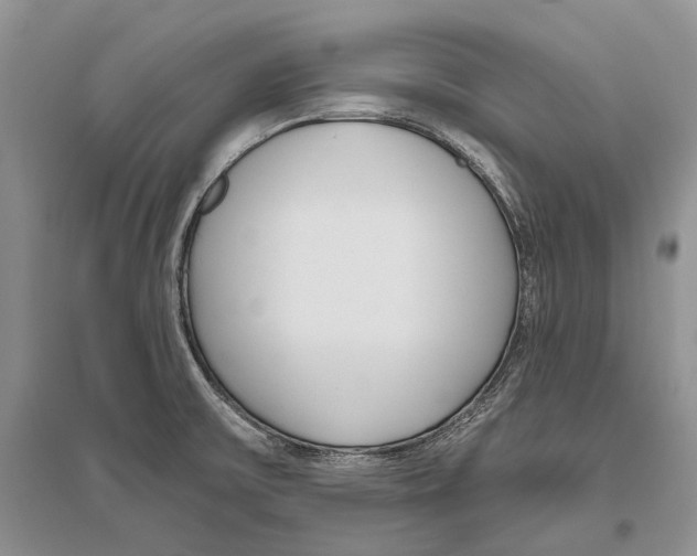 X0000096431475200802211135