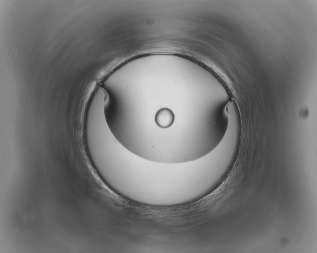 X0000096431477200802211135