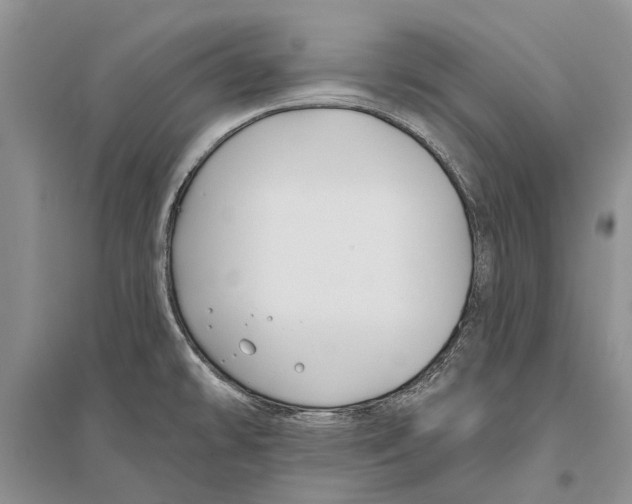 X0000096431478200802211135