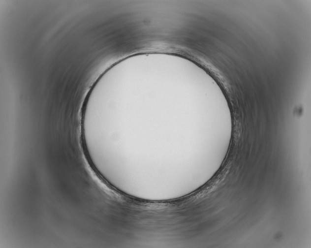X0000096431479200802211135