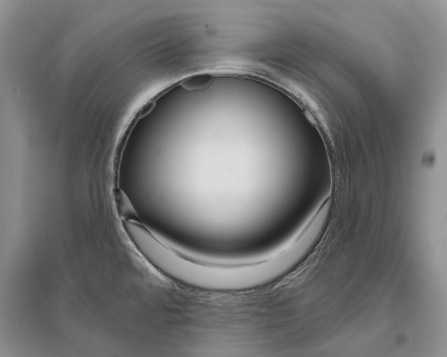 X0000096431480200802211135