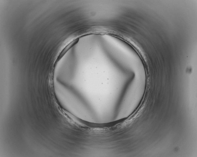 X0000096431481200802211135