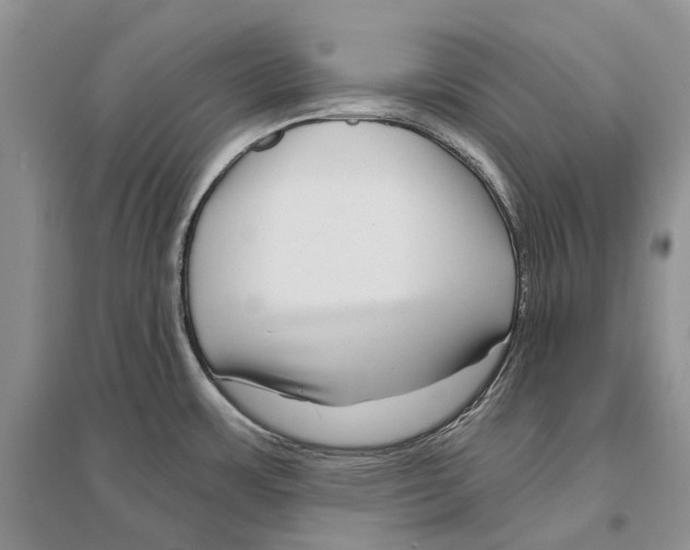 X0000096431483200802211135
