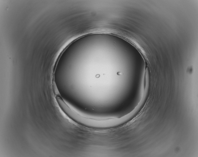 X0000096431484200802211135