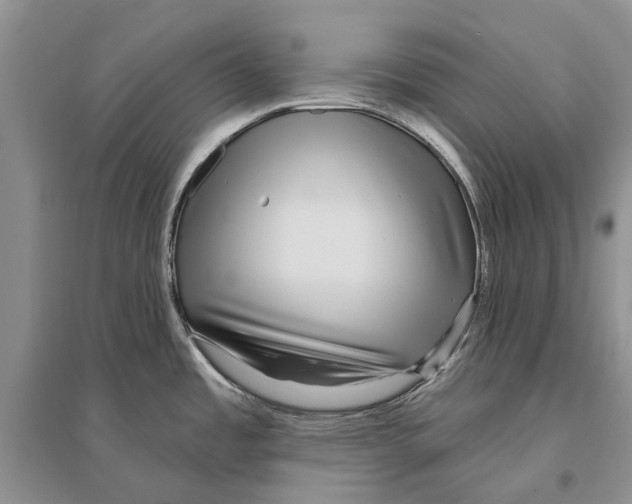 X0000096431485200802211135