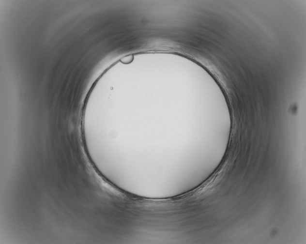 X0000096431486200802211135