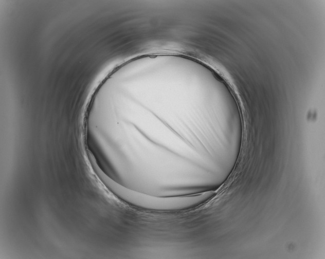 X0000096431488200802211135