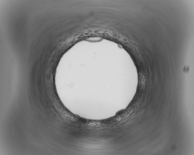 X0000096431489200802211134