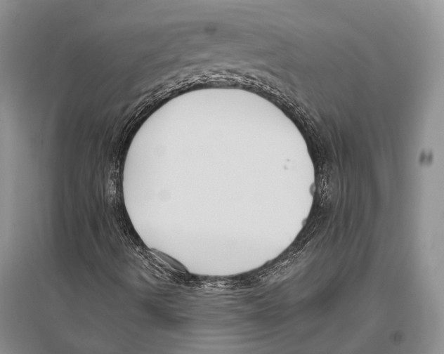X0000096431490200802211134