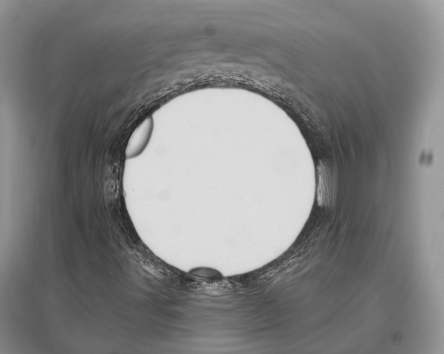 X0000096431491200802211134