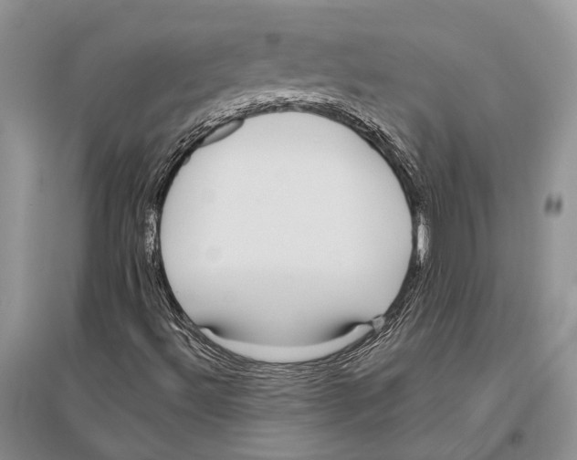 X0000096431492200802211134