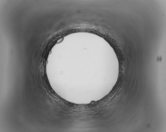 X0000096431493200802211134