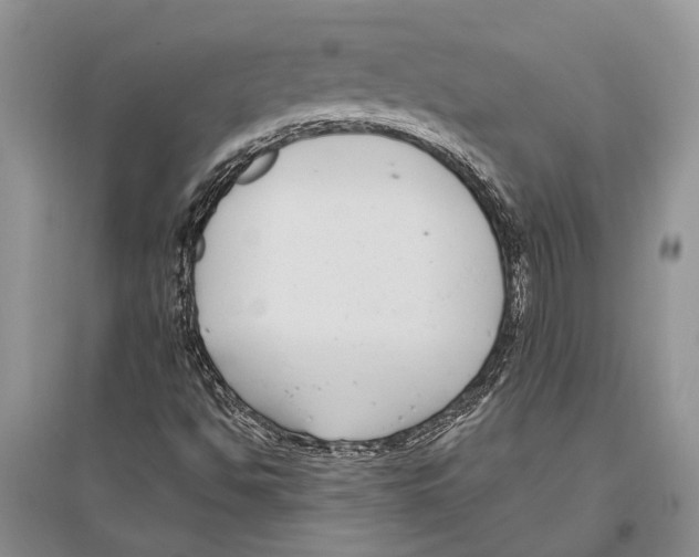 X0000096431494200802211134
