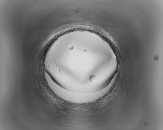 X0000096431496200802211134