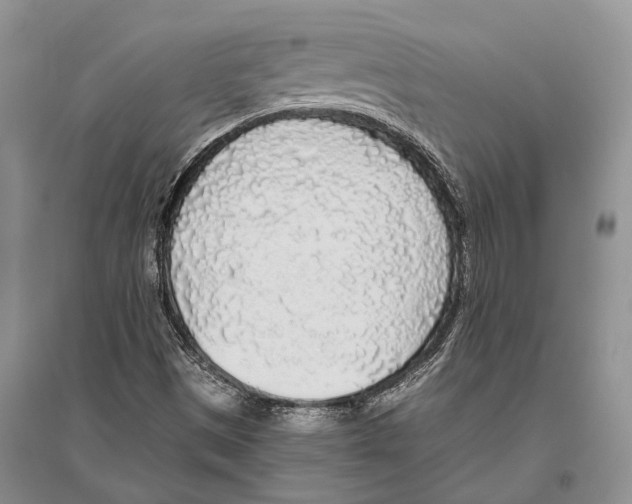 X0000096431497200802211134