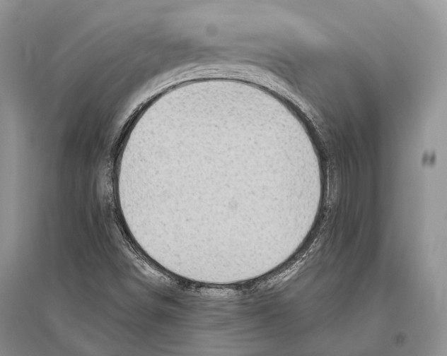 X0000096431498200802211134