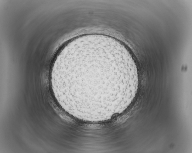 X0000096431499200802211134