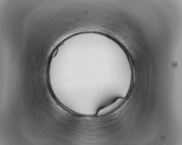X0000096431500200802211134