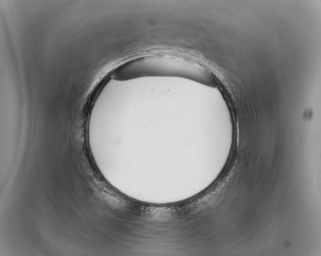X0000096431501200802211134