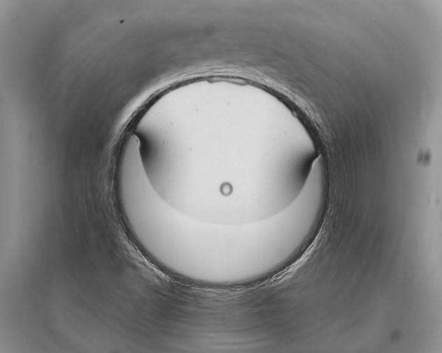 X0000096431502200802211134