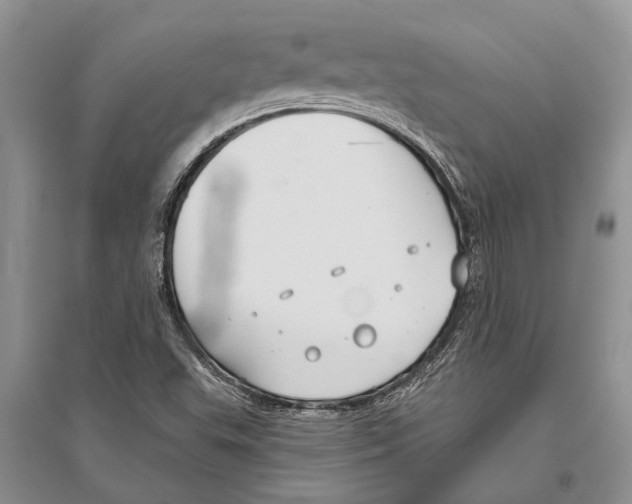 X0000096431503200802211134