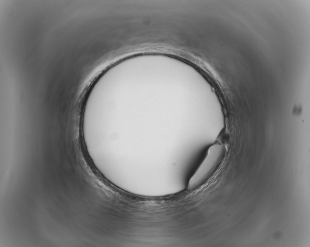 X0000096431504200802211134