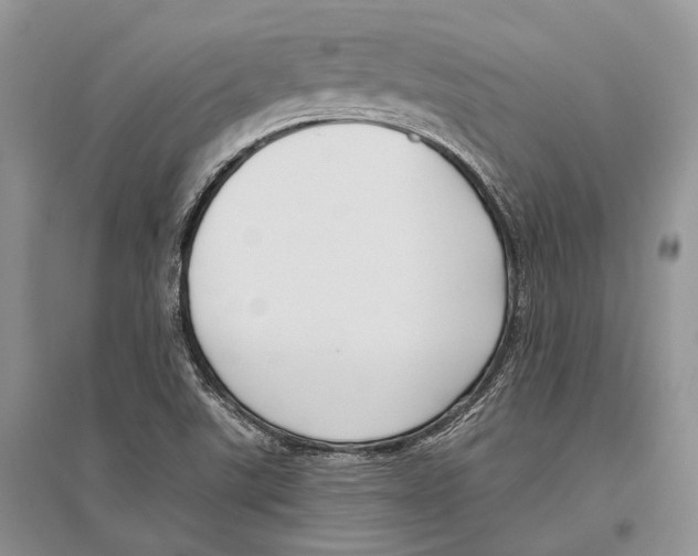 X0000096431507200802211134