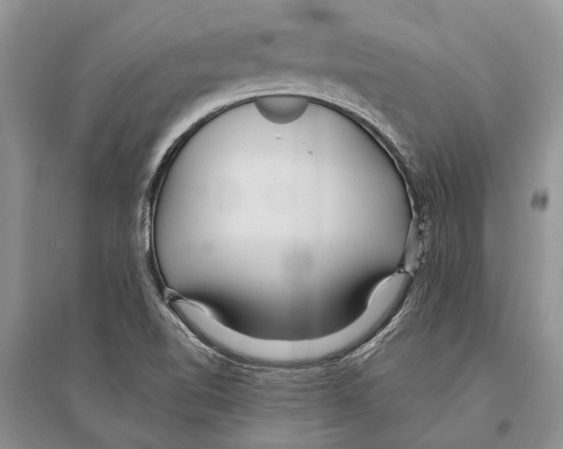 X0000096431510200802211134