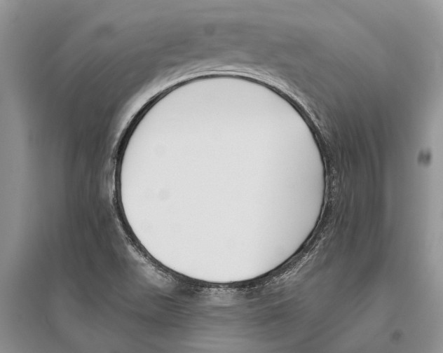 X0000096431511200802211134