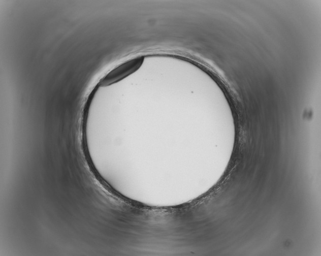 X0000096431512200802211134