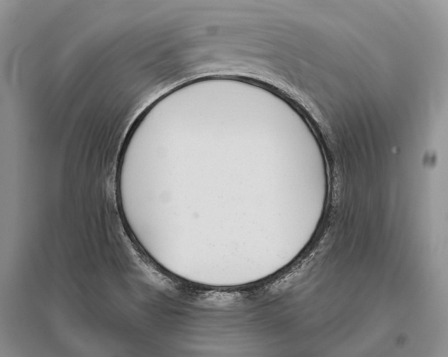 X0000096431513200802211134