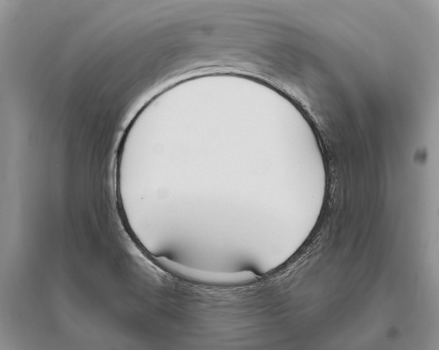 X0000096431516200802211134